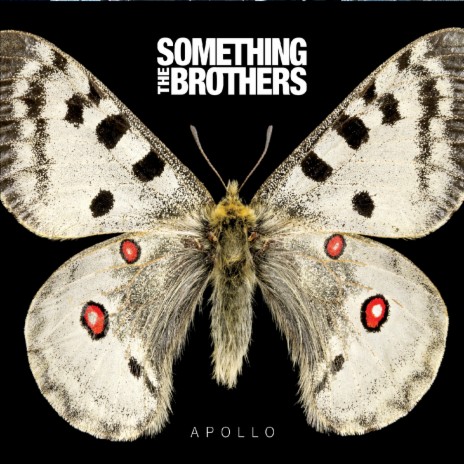 Semi-Precious cover art