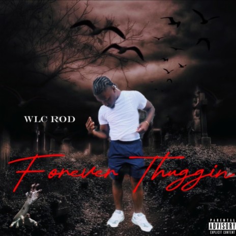 5am cover art