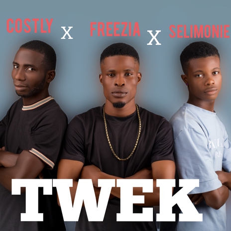 twek ft. Costly & Selimonie cover art
