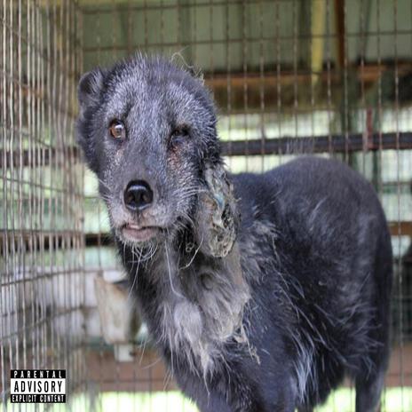 Free the Animals cover art