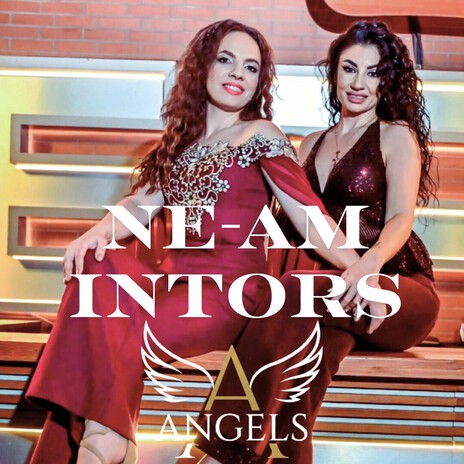 Ne-am Intors cover art