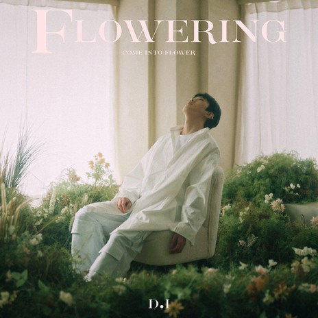 개화:開花 (inst) cover art