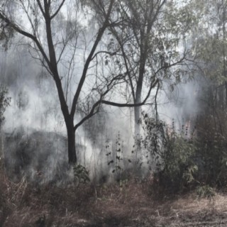 Tasnif-E-Homayoun cover art