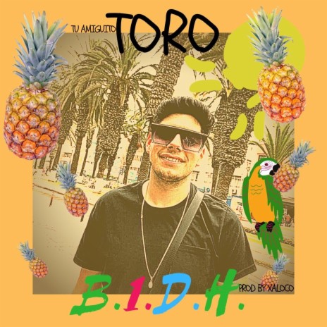 B.1.D.H. cover art