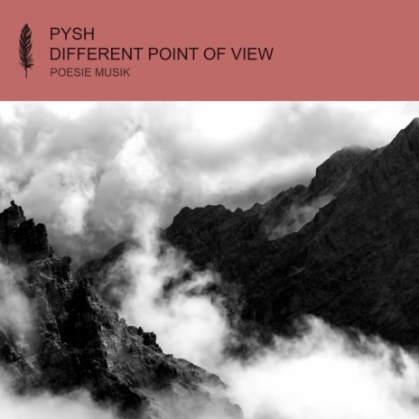 Different Point of View (Max Joni Remix) cover art