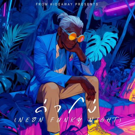 ค่าโง่ (Neon Funky Night) cover art