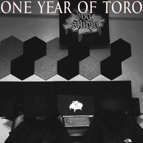 One Year Of Toro cover art