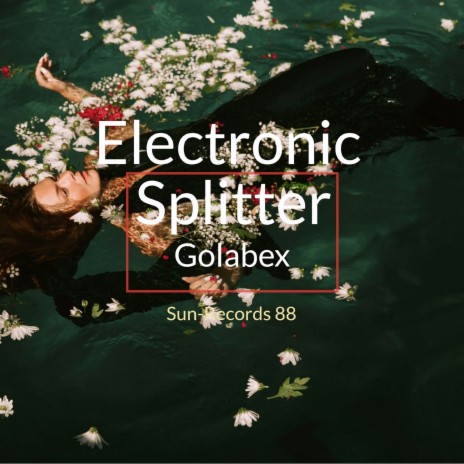 Electronic Splitter cover art
