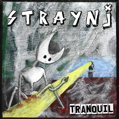 Straynj cover art