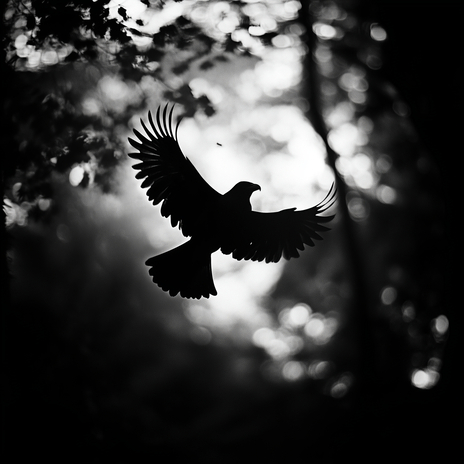 Libre comme l’air cover art