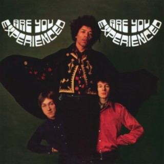 The Jimi Hendrix Experience