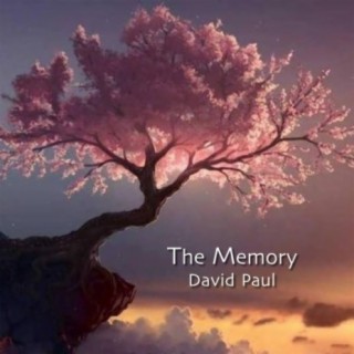 David Paul