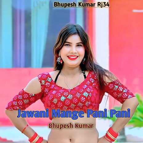 Jawani Mange Pani Pani cover art