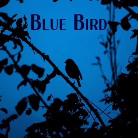 Blue Bird cover art
