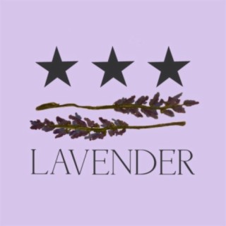 Lavender