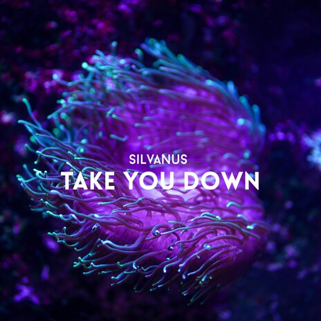 Take You Down (Radio Edit) cover art