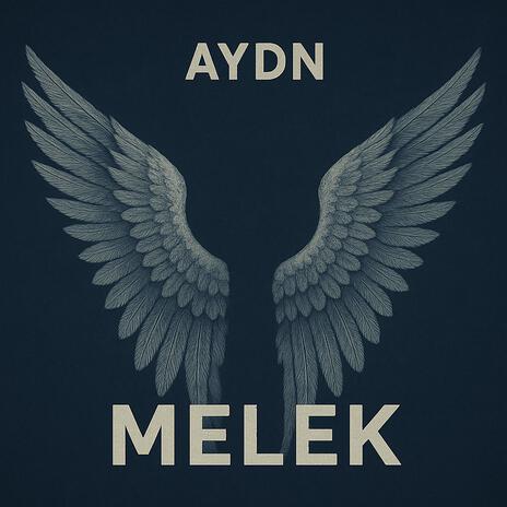 Melek (Kanatsız Melek) cover art