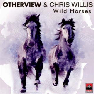 Wild Horses (Radio Edit) ft. Chris Willis cover art