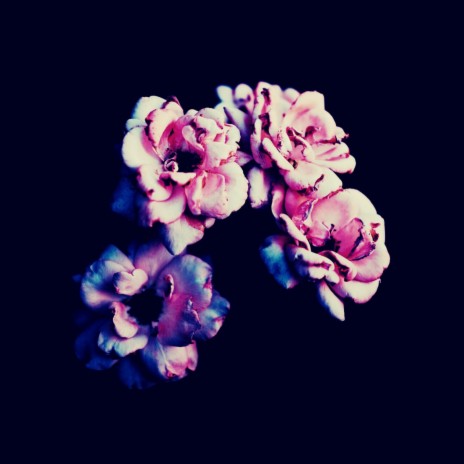 return (again) cover art