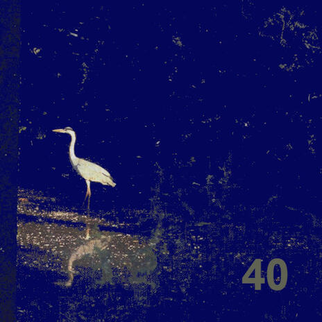 Forty cover art