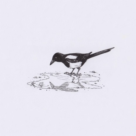 They Speak of Shadows cover art