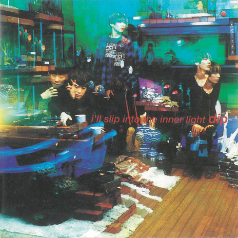 Fall In Holy cover art