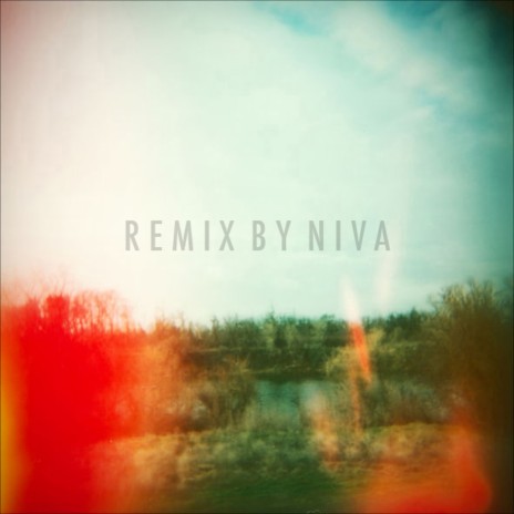 In Five Years (Niva Remix) ft. Palpitation cover art