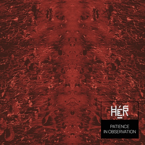 Patience in Observation cover art