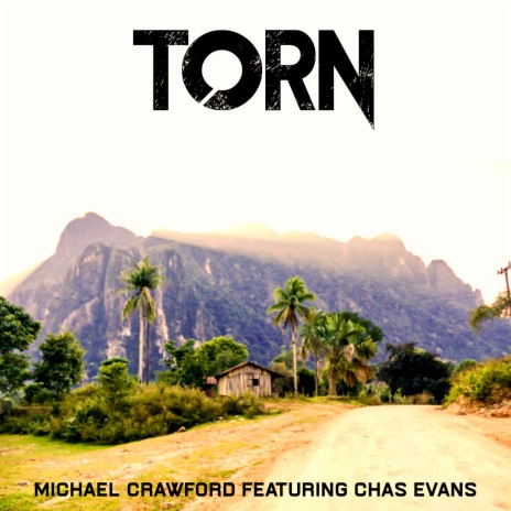 Torn ft. Chas Evans cover art