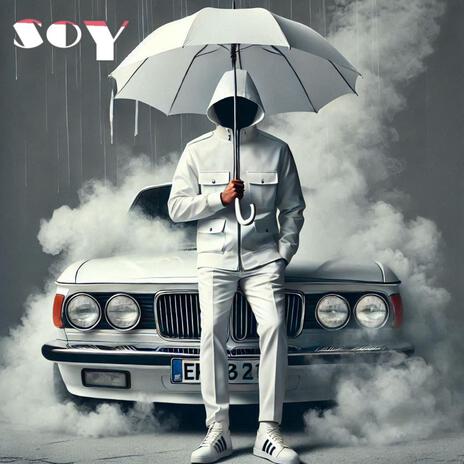 sostenible cover art