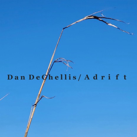 Had Never cover art