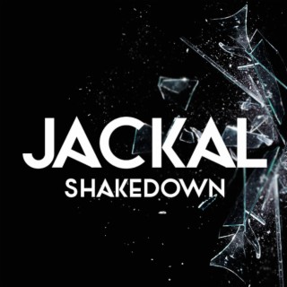 Shakedown cover art