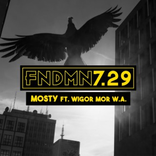 FNDMN7.29