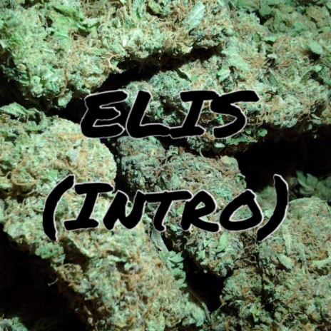 Solo Per Sta M***a (Intro) cover art