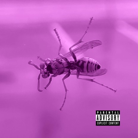 Lifeline cover art