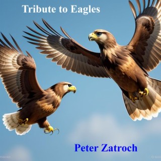 Tribute to Eagles cover art
