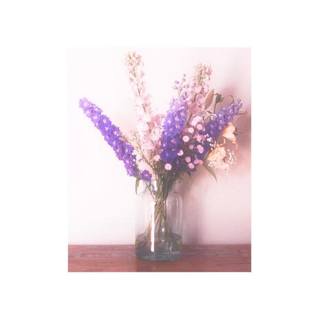 september bloom