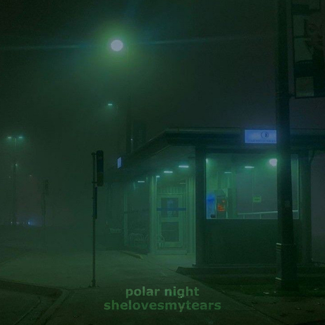 Polar Night cover art