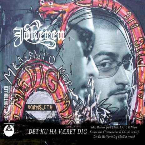 Det ku' ha' været dig (A Capella) cover art
