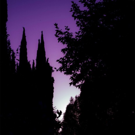 Procedure cover art