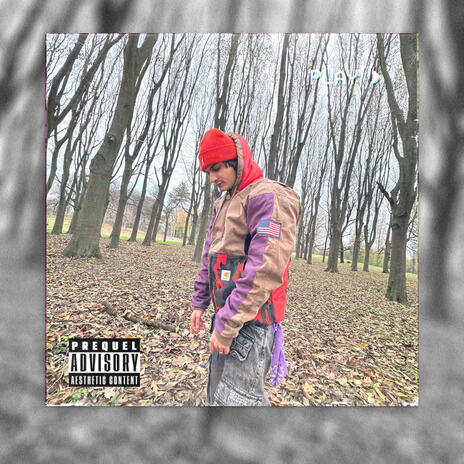 Come sto cover art