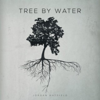 Tree By Water