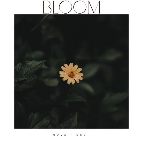 Bloom