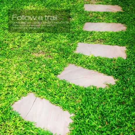 Under The Sycamore Tree cover art