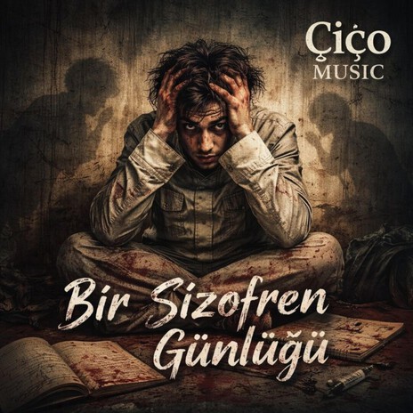 Bir Şizofren Günlüğü -Var Yok Arası cover art