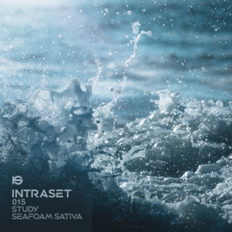 Absense cover art