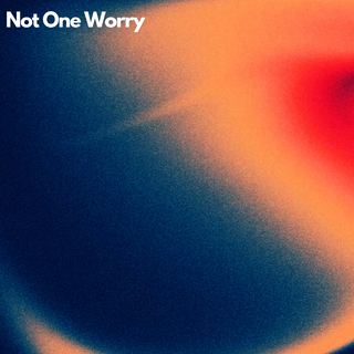 Not One Worry