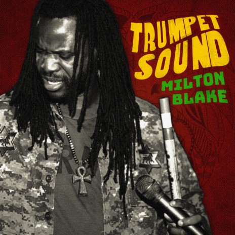 Trumpet Sound cover art