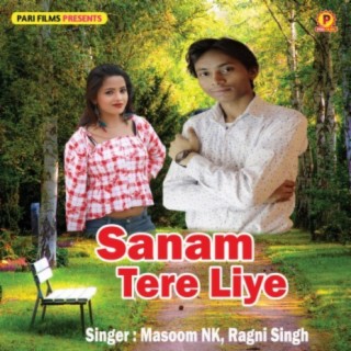 Sanam Tere Liye ft. Ragni Singh cover art
