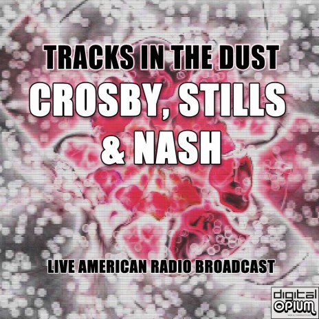 To the Last Whale...(A. Critical Mass B. Wind on the Water) (Live) cover art